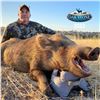 Image 1 : JOIN OAKSTONE OUTFITTERS FOR AN EXCITING PIG HUNT FOR TWO HUNTERS IN THE HEART OF CENTRAL CALIFORNIA