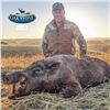 Image 3 : JOIN OAKSTONE OUTFITTERS FOR AN EXCITING PIG HUNT FOR TWO HUNTERS IN THE HEART OF CENTRAL CALIFORNIA