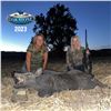 Image 4 : JOIN OAKSTONE OUTFITTERS FOR AN EXCITING PIG HUNT FOR TWO HUNTERS IN THE HEART OF CENTRAL CALIFORNIA