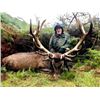 Image 1 : 6-Day New Zealand Red Stag with Glen Dene Hunting (1 Hunter