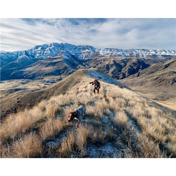 2-day Upland Game Bird Hunting in Hells Canyon and Salmon River Breaks with White Pine Outfitters