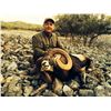 Image 14 : Mouflon Sheep Hunt in Spain with Giuseppe & Curro Carrizosa - SPAIN