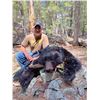 Image 15 : 3-Day Youth Idaho Black Bear Hunt with Big Lost River Outfitters and Taxidermy for a Bear Rug