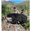 Image 17 : 3-Day Youth Idaho Black Bear Hunt with Big Lost River Outfitters and Taxidermy for a Bear Rug