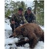 Image 1 : 3-Day Youth Idaho Black Bear Hunt with Big Lost River Outfitters and Taxidermy for a Bear Rug