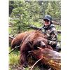 Image 5 : 3-Day Youth Idaho Black Bear Hunt with Big Lost River Outfitters and Taxidermy for a Bear Rug