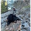 Image 6 : 3-Day Youth Idaho Black Bear Hunt with Big Lost River Outfitters and Taxidermy for a Bear Rug