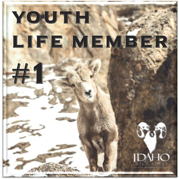 Youth Life Member #1, Henry Golden Boy Youth Model .22 S/L/LR rifle, Vortex Bantam HD 6.5x32