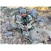 Image 11 : 5-day Coues deer hunt for Two in Sonora Mexico with Mesquite Mountain Outfitters