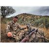Image 8 : 5-day Coues deer hunt for Two in Sonora Mexico with Mesquite Mountain Outfitters