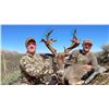 Image 9 : 5-day Coues deer hunt for Two in Sonora Mexico with Mesquite Mountain Outfitters