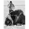 Image 11 : 8-day Canadian Arctic Musk Ox hunt for 1 hunter with Canada North Outfitting