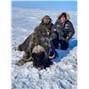 Image 8 : 8-day Canadian Arctic Musk Ox hunt for 1 hunter with Canada North Outfitting