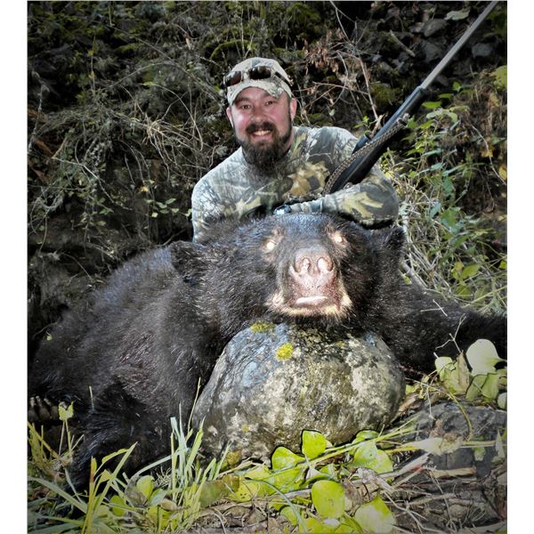 3-day Idaho Black Bear Hunt with Yellow Wolf Ranch – Idaho Resident Only