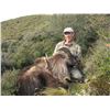 Image 3 : 5-day New Zealand Trophy Himalayan Bull Tahr with Southern Mountain Adventures
