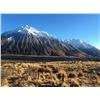 Image 5 : 5-day New Zealand Trophy Himalayan Bull Tahr with Southern Mountain Adventures