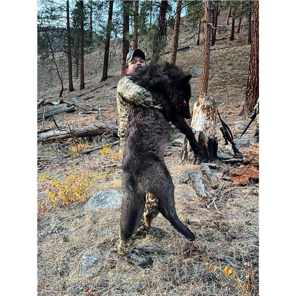 5-day Winter Backcountry Predator hunt for Wolves, Mountain Lions, and Bobcats in the Frank Church