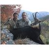 Image 1 : 4-Day Cantabrian Chamois for 1-Hunter in Spain with Espacaza-Spain