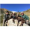 Image 3 : 4-Day Cantabrian Chamois for 1-Hunter in Spain with Espacaza-Spain