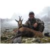 Image 5 : 4-Day Cantabrian Chamois for 1-Hunter in Spain with Espacaza-Spain