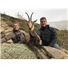 Image 6 : 4-Day Cantabrian Chamois for 1-Hunter in Spain with Espacaza-Spain