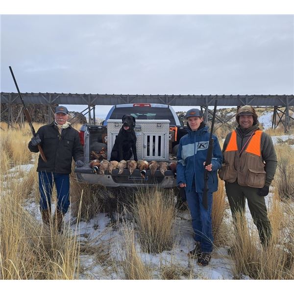 3-night and 2-day Idaho Pheasant Hunt for Two Hunters- South Hills Lodge