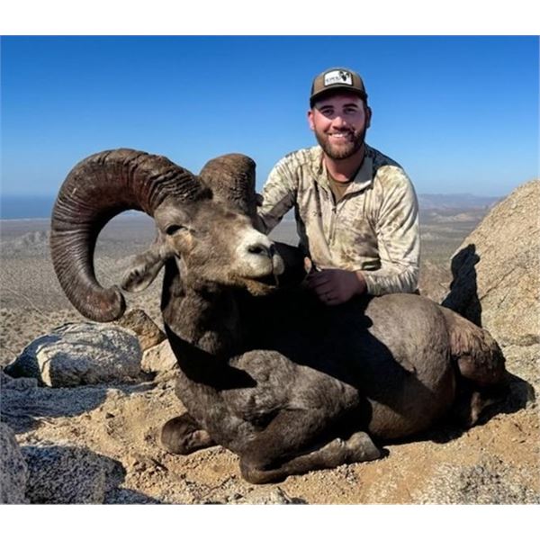12-day Free Range Mexico Desert Sheep Hunt with Mesquite Mountain Outfitters