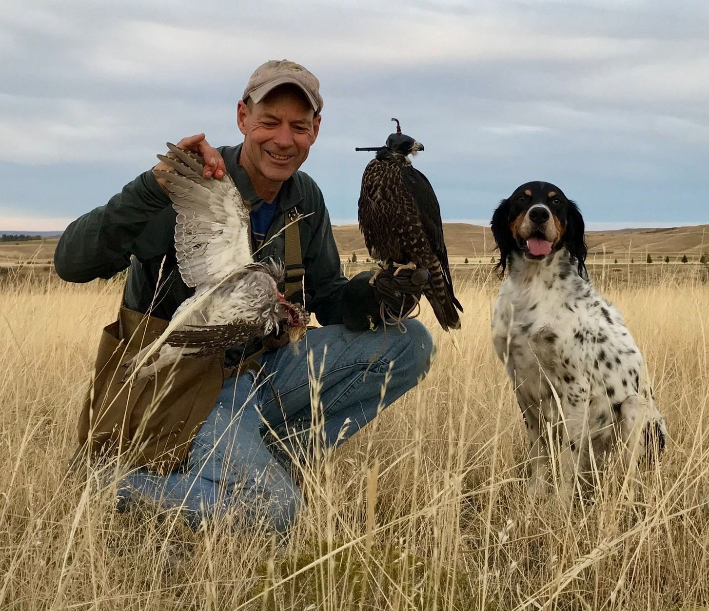 3-day/3-night Wyoming Falconry Hunting for Two Hunters