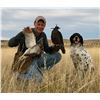 Image 1 : 3-day/3-night Wyoming Falconry Hunting for Two Hunters