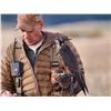 Image 6 : 3-day/3-night Wyoming Falconry Hunting for Two Hunters