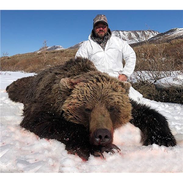 14-Day Alaska Grizzly Bear Hunt with Kokanee Guide Service