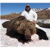 Image 1 : 14-Day Alaska Grizzly Bear Hunt with Kokanee Guide Service