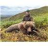 Image 7 : 14-Day Alaska Grizzly Bear Hunt with Kokanee Guide Service