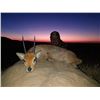 Image 11 : 7-day South Africa Safari for Four Hunters with Sabudawn Safaris Southern Africa