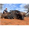 Image 14 : 7-day South Africa Safari for Four Hunters with Sabudawn Safaris Southern Africa