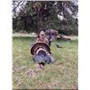 Image 4 : Youth Turkey Hunt with Mike Schlegel