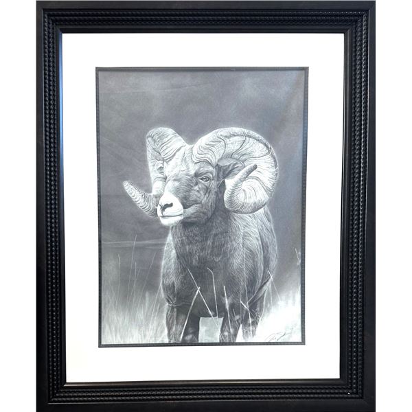 Stunning Framed 24 x 30” Charcoal Ram Print by Derek Stevenson