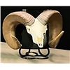 Image 3 : Idaho Table Mount Skull Hanger by Iron Mountain Skull Hangers
