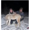 Image 3 : Alaskan Thermal Predator Hunt with Midnight Sun Safaris complete with Suppressed Thermal rifle packa