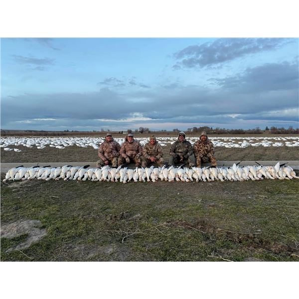 Idaho Snow Goose Hunt for 8 hunters with Four Flyways