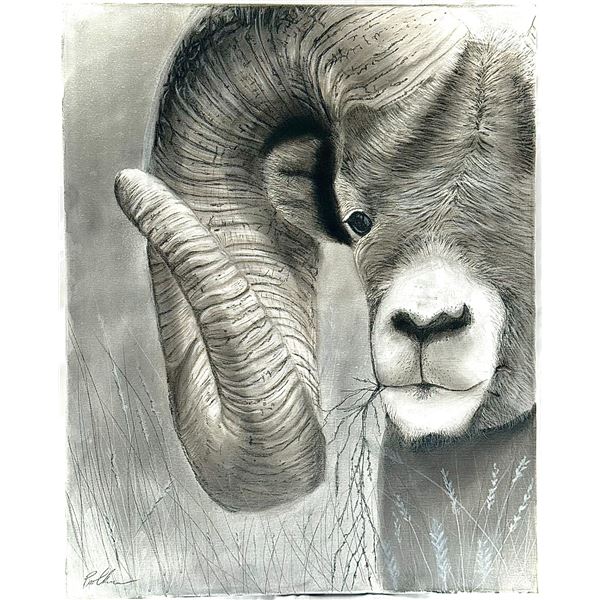 Original Charcoal on Canvas by Pat Churchman