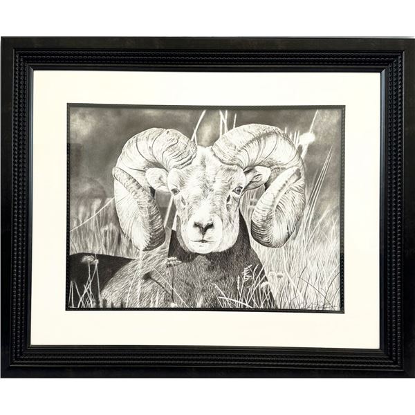 Stunning Framed 24 x 30” Charcoal Ram Print by Derek Stevenson