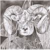 Image 3 : Stunning Framed 24 x 30” Charcoal Ram Print by Derek Stevenson