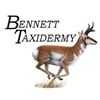 Image 2 : Bennett Taxidermy 50% off a Deer, Antelope or Sheep Shoulder Mount