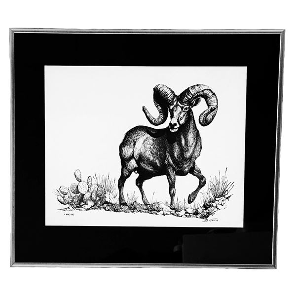 Black and White Ram Print by B Garcia WHC 1982