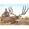 Image 7 : 6-day Free Range Mexico Mule Deer Hunt with Sonora Grande Hunting Company