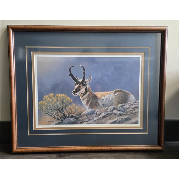 Paul Krapf 'American Original Pronghorn' Framed Print