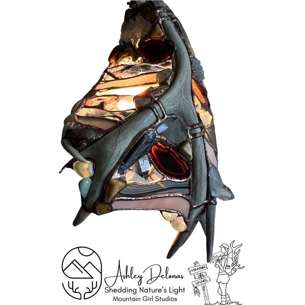 One of a Kind Lamp by Shedding Nature's Light