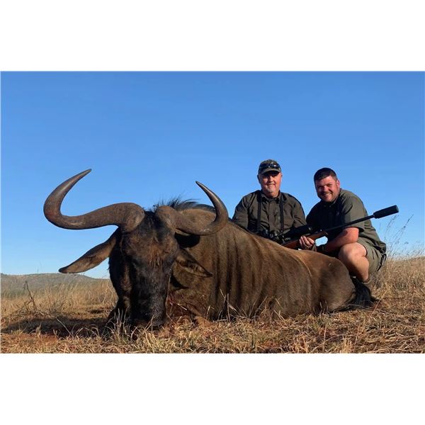 Plains Game Hunt DEKO Safaris