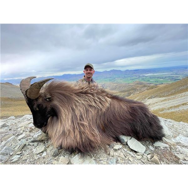 New Zealand Guided Hunt